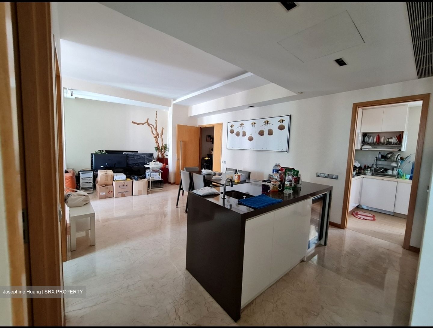 The Lincoln Residences (D11), Condominium #350668181